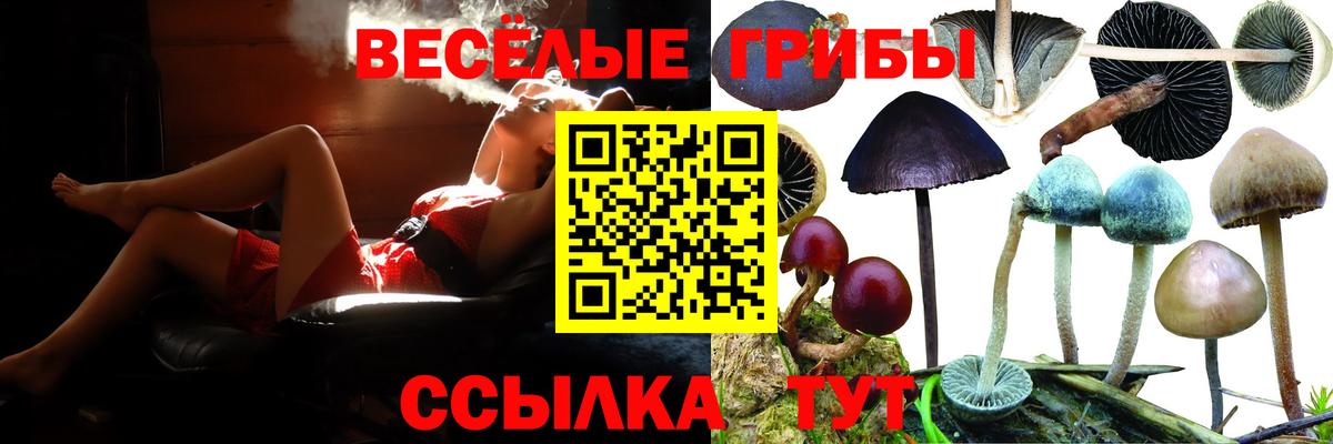 Псилоцибиновые грибы мицелий  Псилоцибиновые грибы Psilocybine cubensis  Фролово  Вход с VPN 
